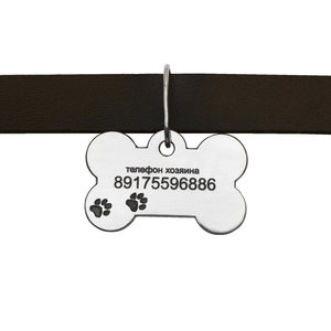 Ошейник с серебряным адресником