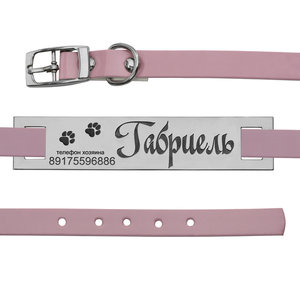 Ошейник из белого золота с адресником