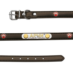 Ошейник с серебряным адресником