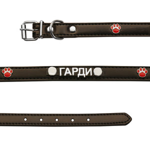 Серебряный ошейник с адресником